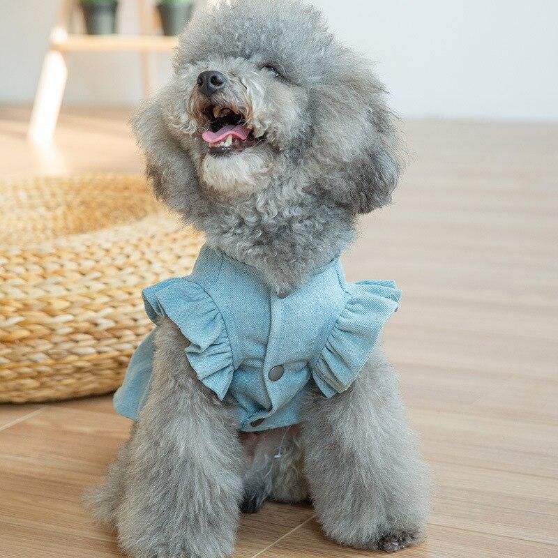 Vestido Pet Jeans | Para Cachorro