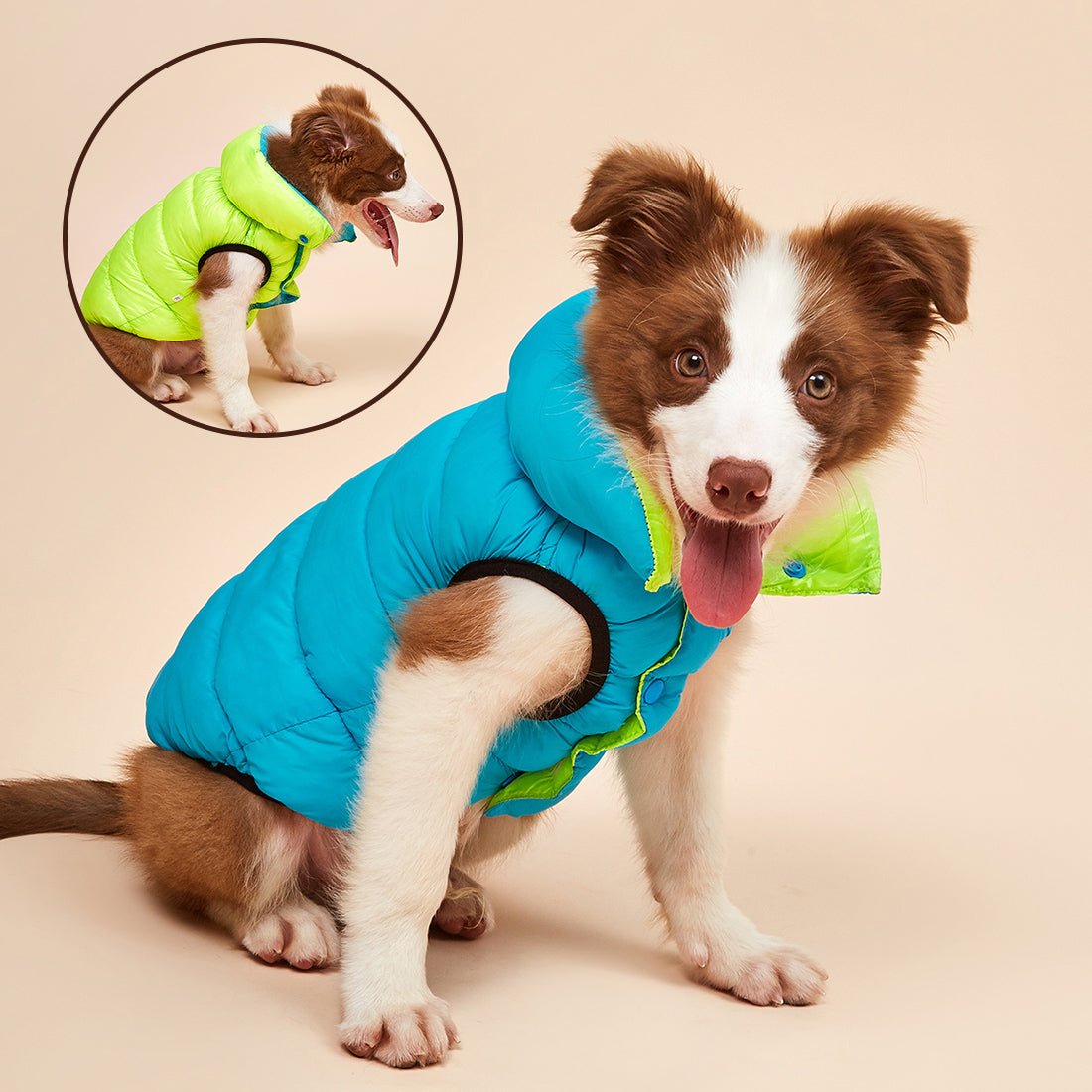 Colete Pet Alby™ Dupla-Face | Roupa Para Cachorro