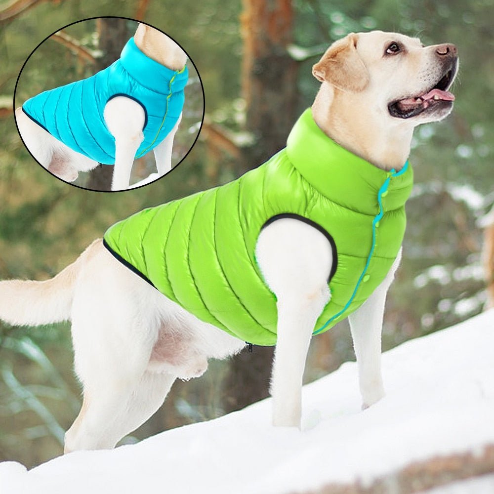 Colete Pet Alby™ Dupla-Face | Roupa Para Cachorro